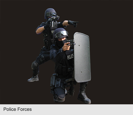 Police Forces