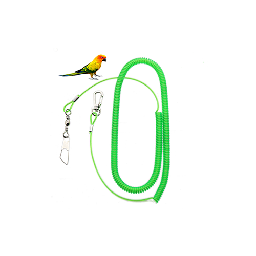 5M Clear Green Birds Flying Safety Coiled Rope Spring Steel For Preventing Parrot Flying