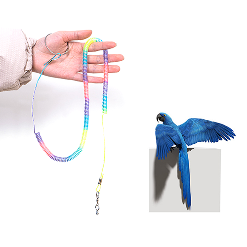 Colorful Nylon Core 3/4/5M Coiled Parrot Safe Rope Prevent Bird Accidental Flying 